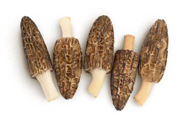 raw morel mushroom isolated on white background with full depth of field. Top view. Flat lay.