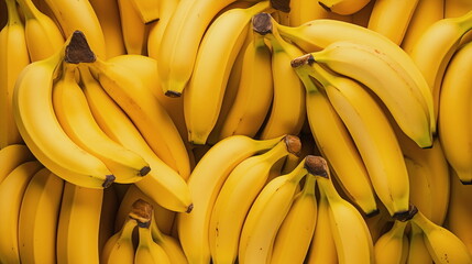 Bunch of yellow healthy raw bananas