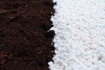 soil and Perlite for plants. neutral material of volcanic origin