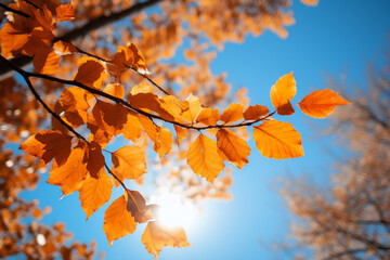 Fototapeta na wymiar autumn leaves against a blue sky, generative ai