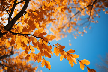 autumn leaves against a blue sky, generative ai