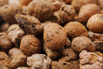 Expanded clay. small lumps of clay used in construction and for growing plants.