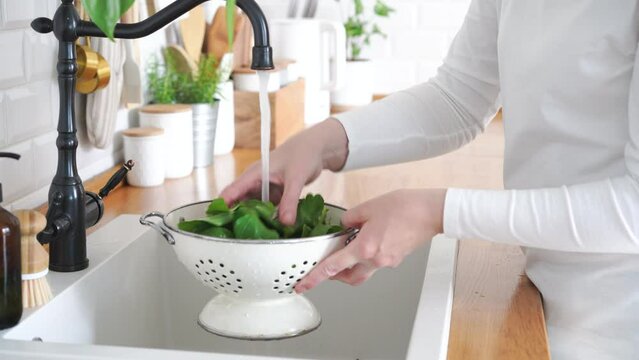Woman hands washing arugula leaves in colander. High quality 4k footage
