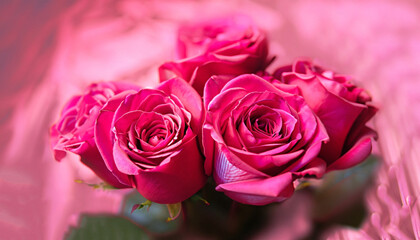 Festive blurred pink red background with a bouquet of gorgeous magenta roses.