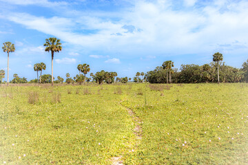 Hiking and Exploring Central Florida Pastureland. © Ben