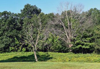 the landscape of the quabbin reservoir