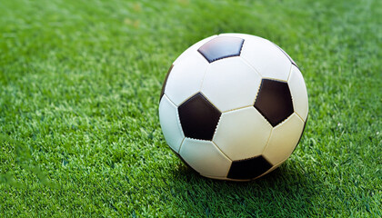 Fototapeta premium The football is on the green lawn.