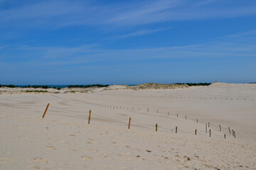 Moving dunes in the Slovincian National Park also known as Slowinski National Park. Landscape with...
