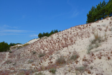 Moving dunes in the Slovincian National Park also known as Slowinski National Park. Landscape with...