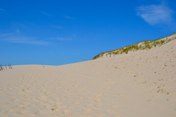 Moving dunes in the Slovincian National Park also known as Slowinski National Park. Landscape with...
