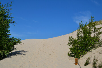 Moving dunes in the Slovincian National Park also known as Slowinski National Park. Landscape with...