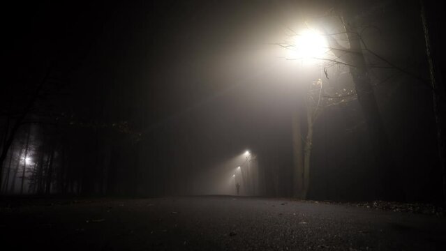 Woman running in the fog of the night park
