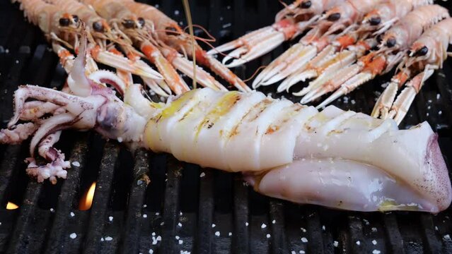 Cooking Scampi (Nephrops Norvegicus) Langoustines, squid on grill pour olive oil, slow motion