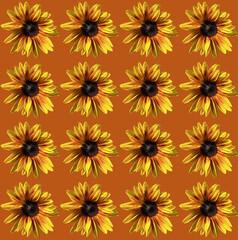 Seamless sunflowers