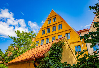 Fototapete bei efototapeten.de bestellen   