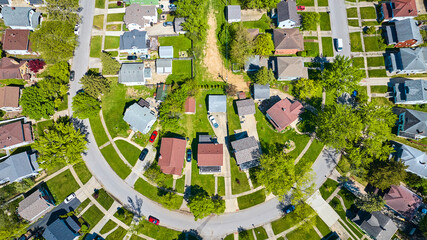 Summer green lawns curved road with houses neighborhood village town HOA aerial