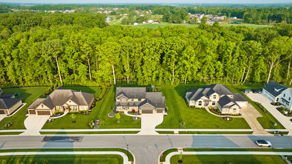 Three expensive, large houses with wall of trees behind green summer aerial