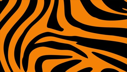 Tiger Day International pattern texture tiger orange stripe, art video illustration.