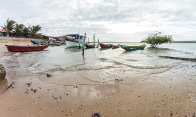 barcos