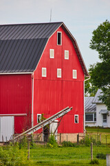 Farm with giant red barn and tall ladder on other side of wire fence © Nicholas J. Klein