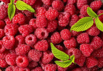 Raspberry with leaves