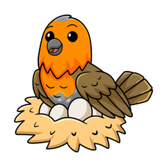 Cute bird cartoon with eggs in the nest