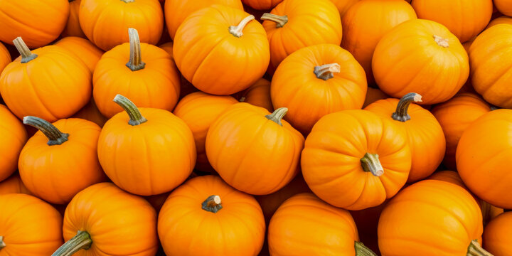 Orange pumpkins background, wide, banner, fall autumn Halloween