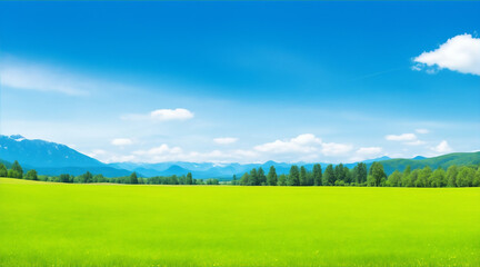 Fototapeta na wymiar Panoramic natural landscape with green grass field, blue sky with clouds and and mountains