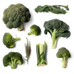 Broccoli vegetable variations on a white background