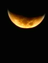 Obraz na płótnie Canvas moon night in the sky