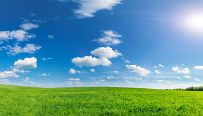Panoramic natural landscape with green grass field meadow and blue sky with clouds, bright sun and horizon line. Panorama summer spring grassland in sunny day.