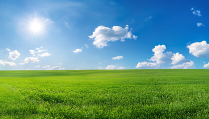 Obraz premium Panoramic natural landscape with green grass field meadow and blue sky with clouds, bright sun and horizon line. Panorama summer spring grassland in sunny day.