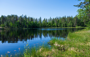 Fototapeta na wymiar Lake in green forest with blue sky