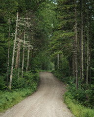 Old Cherry Mountain Road in the White Mountains, New Hampshire