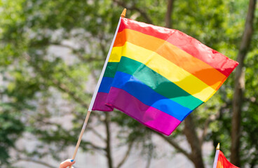 Rainbow flag Lgbt pride. gay pride flag freedm end equity diversity. Supporters wave rainbow flags. flag of LGBT organization include lesbians, gays, bisexuals and transgender people