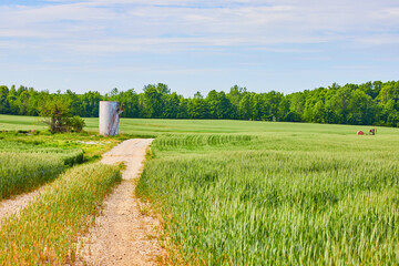 Maintenance road leading to abandoned farm silo type equipment surrounded by green fields