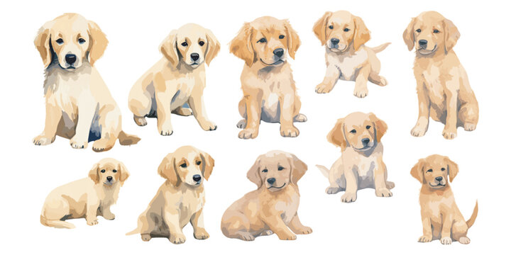 Watercolor Golden Retriever Puppies clipart for graphic resources
