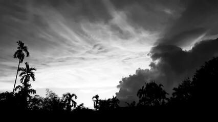 beautiful landscape with saw mountains, betel palm coconut trees, black and white sky vintage concept.