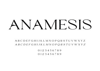 a modern elegant display serif typeface font alphabet vector