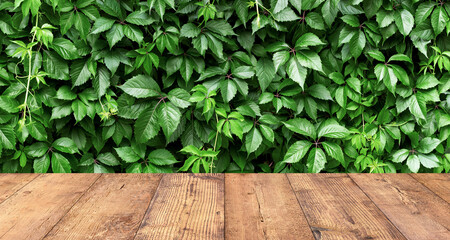 empty wooden table on green leaves background