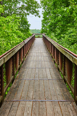 Fototapeta na wymiar Vertical of woods surrounding boardwalk leading to treetop overlook of park