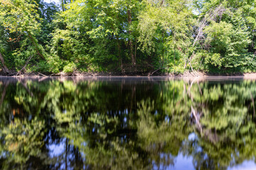 Tranquil River Serenity: A Majestic Encounter with Nature