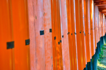 京都 伏見稲荷大社　美しい朱色の鳥居　（日本京都府京都市） Kyoto Fushimi Inari Taisha Shrine famous for beautiful vermilion torii gates (Kyoto City, Kyoto Prefecture, Japan) 