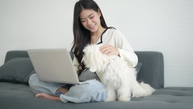 Beautiful young woman spends her free time on vacation playing with her beloved pet at home.