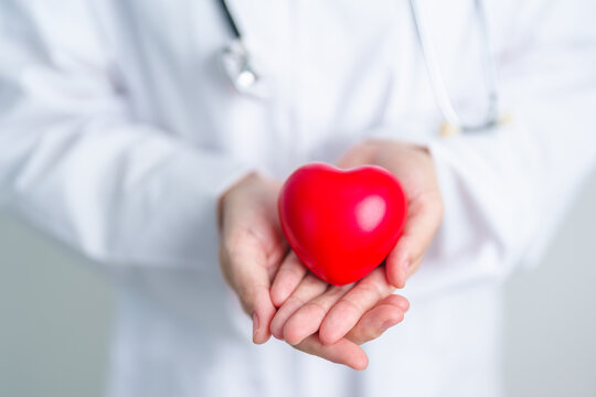 Doctor hand holding red heart shape in hospital. love, donor, world heart day, world health day, CSR donation and Insurance concepts