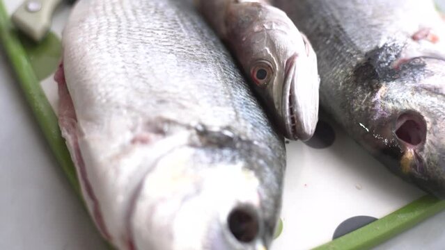 sea ​​bream and whiting next to the garlic on the work surface
