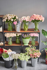 Many different flowers on Showcase. Background of mix of flowers. Beautiful flowers for catalog or online store. Floral shop and delivery concept.