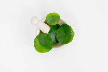 Top view glass beaker containing water and Centella asiatica decorated with erlenmeyer flask and...