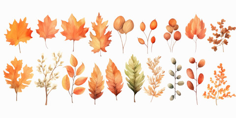 Vector watercolor Set of fall leaves, maple leaf, acorns, berries, spruce branch. Forest design elements. Hello Autumn illustrations. Perfect for seasonal advertisement, invitations, cards - obrazy, fototapety, plakaty