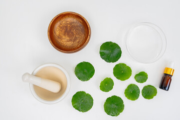 Top view glass beaker containing water and Centella asiatica decorated with erlenmeyer flask and round podium